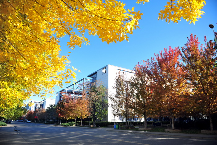 天津财经大学国际MBA